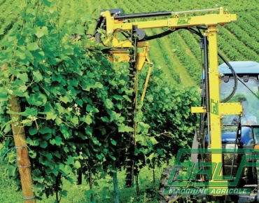 CIMATRICE A BARRA FALCIANTE - CMS-DU